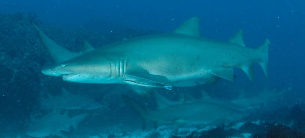 18563e31-15be-4f81-833e-7997238bac26