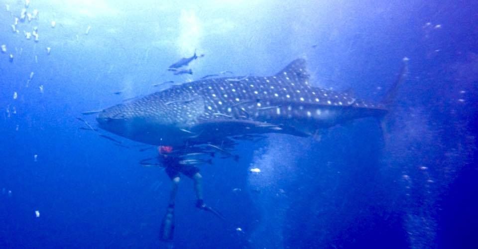 e23ebbfe-10f4-40fe-832d-eec5307ea003