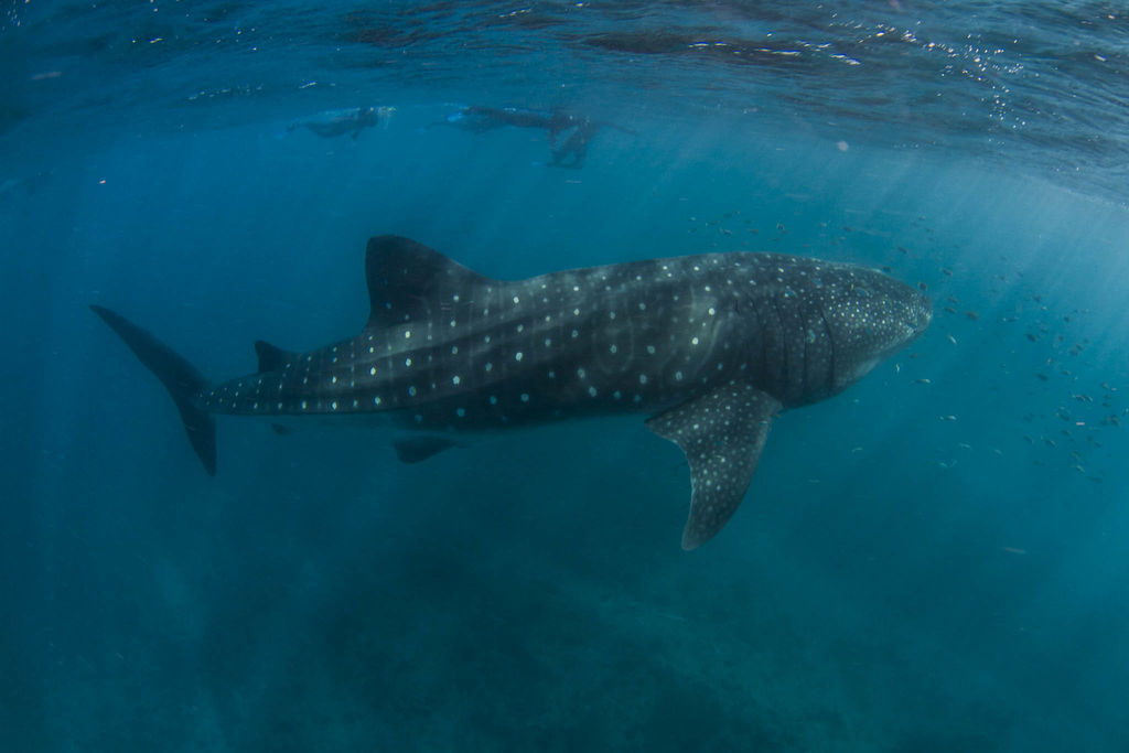 6f227070-4b2d-4ba6-a72e-61057c7d334c