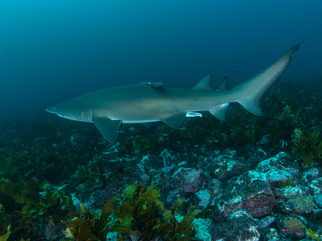 4c02f73d-62a1-4c25-a4b8-ed202c2e6b20