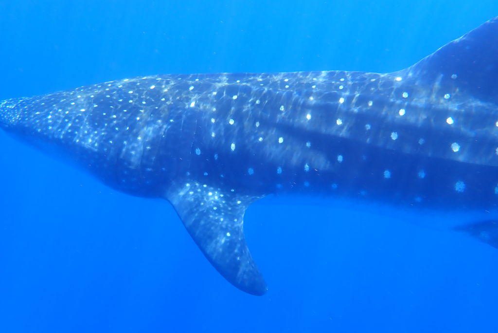 6baf9c04-6979-4725-963d-925dcbe28394