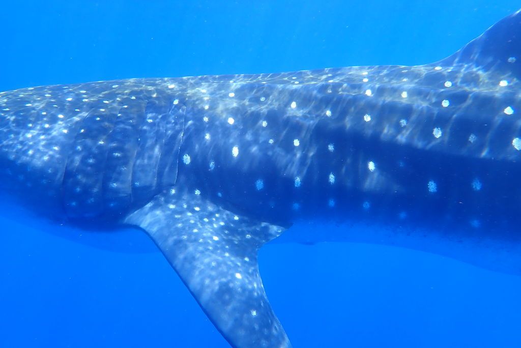 6baf9c04-6979-4725-963d-925dcbe28394