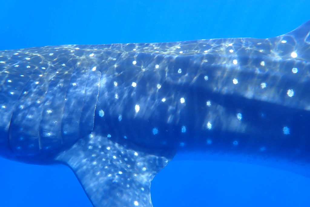 6baf9c04-6979-4725-963d-925dcbe28394