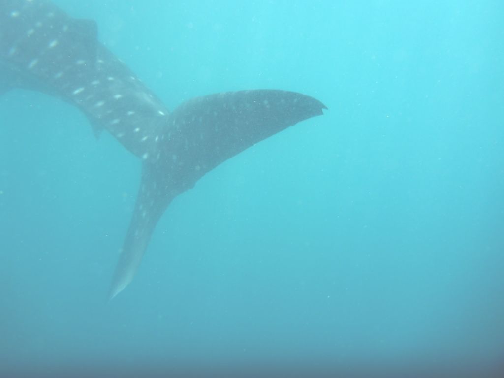 f207b808-b1e4-4dab-aaa3-823c9abe79e1