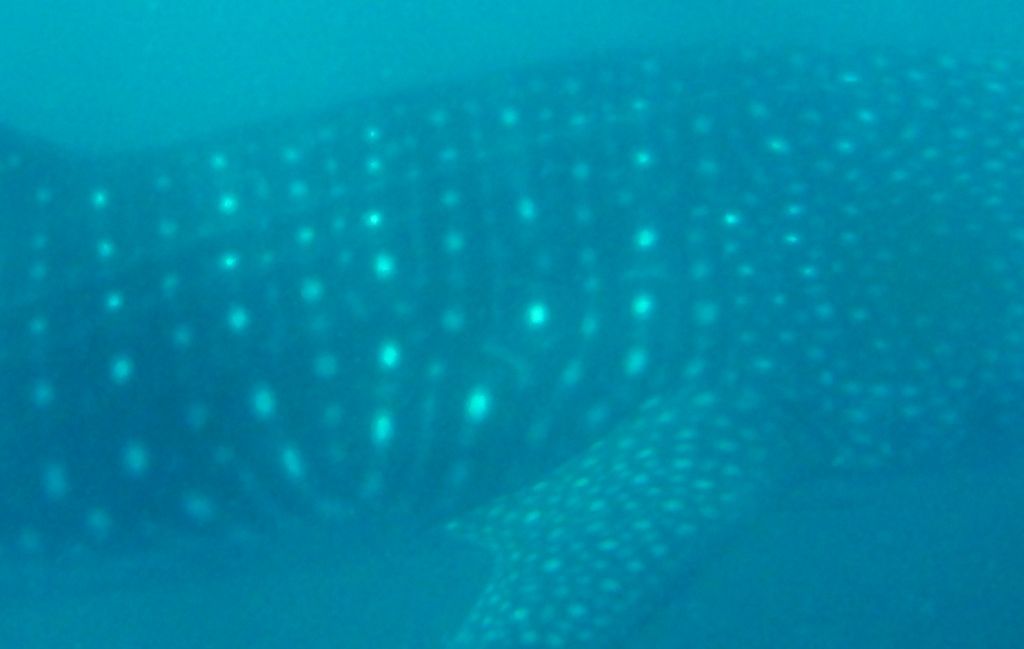 f207b808-b1e4-4dab-aaa3-823c9abe79e1