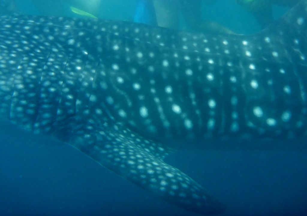 f207b808-b1e4-4dab-aaa3-823c9abe79e1