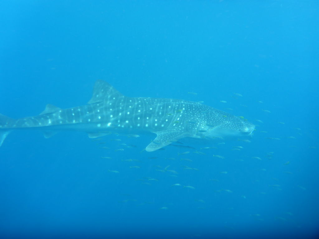 44b2458f-4b1f-4db9-9120-7fc542810025