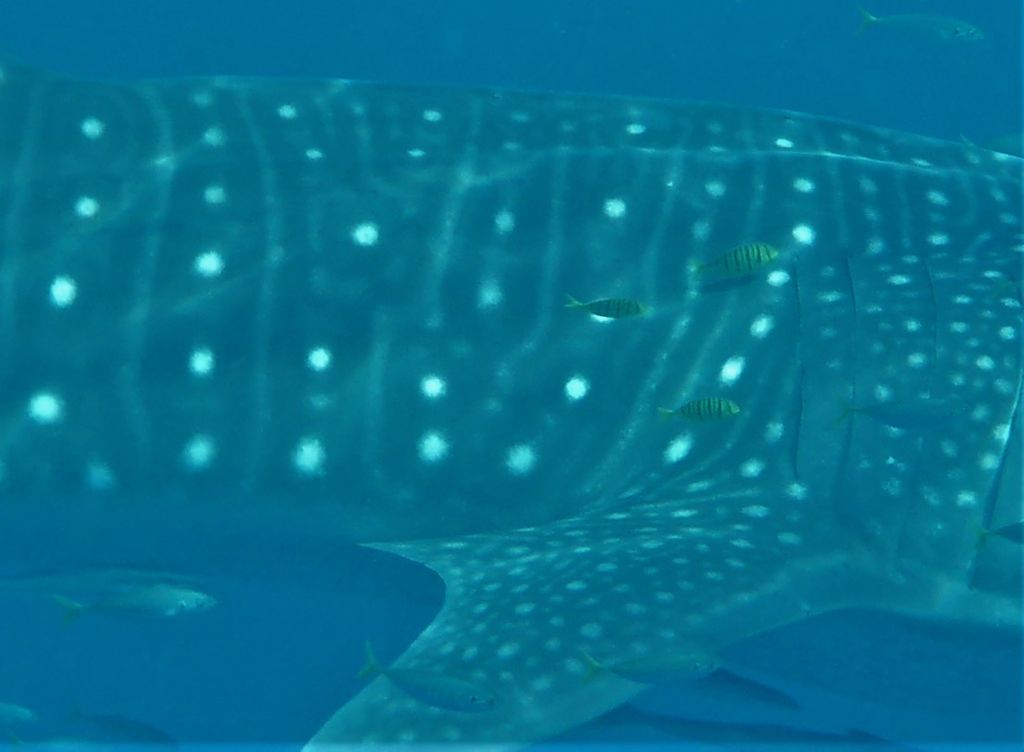 44b2458f-4b1f-4db9-9120-7fc542810025