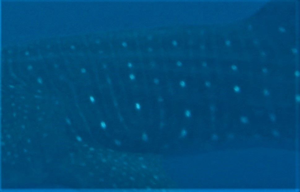 44b2458f-4b1f-4db9-9120-7fc542810025