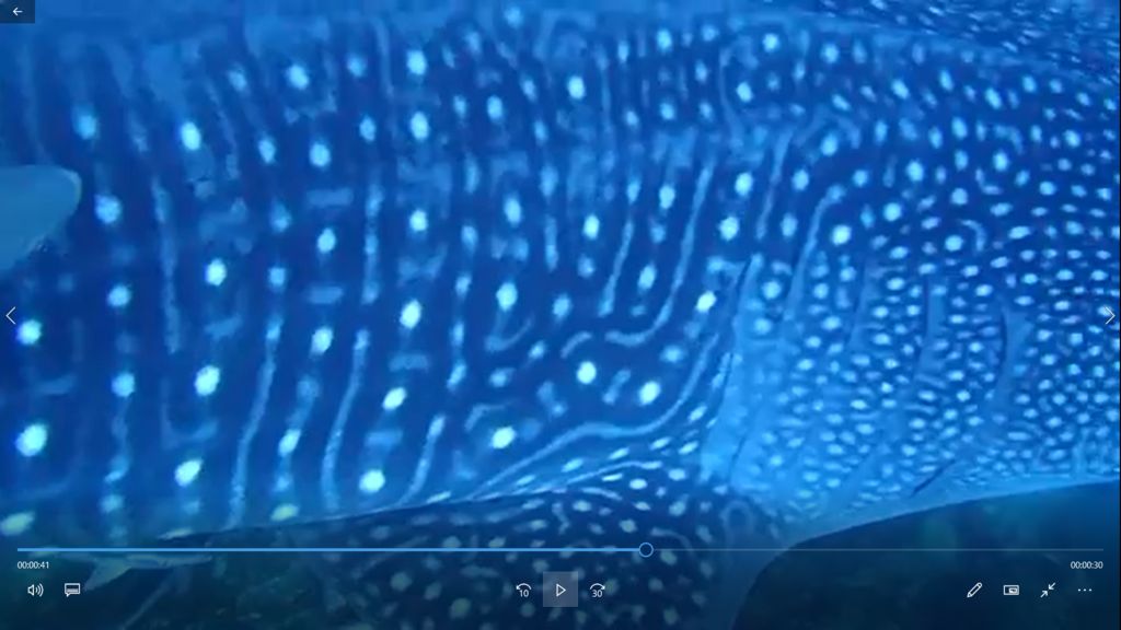 015e47e2-6583-412e-b98a-6a2c47485127