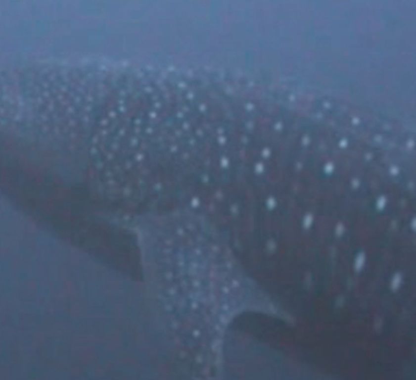 057d9be9-eb16-4178-acbd-008e60e61804