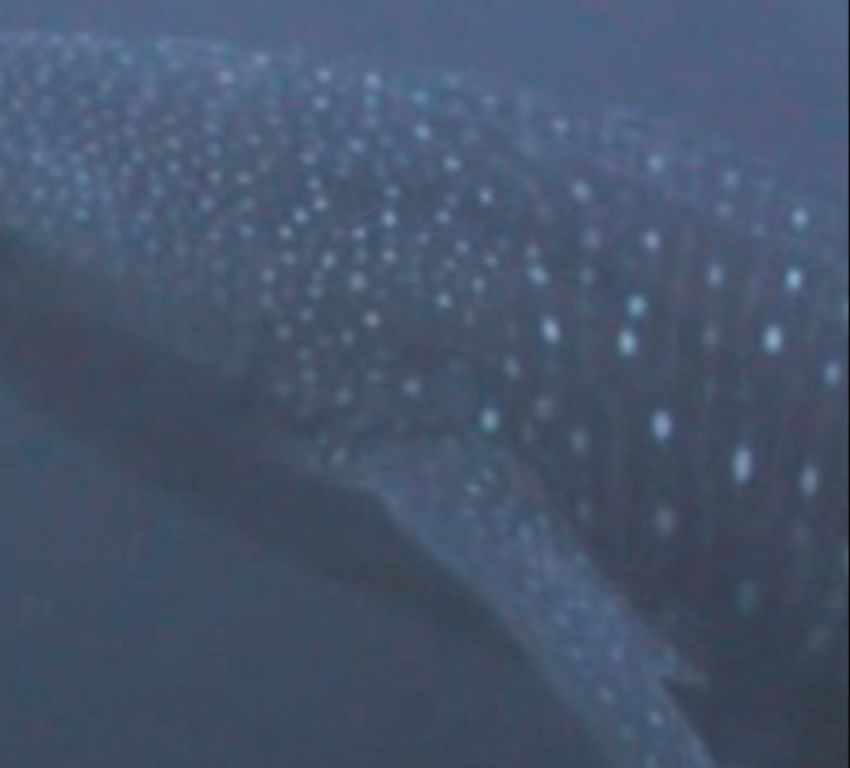 057d9be9-eb16-4178-acbd-008e60e61804