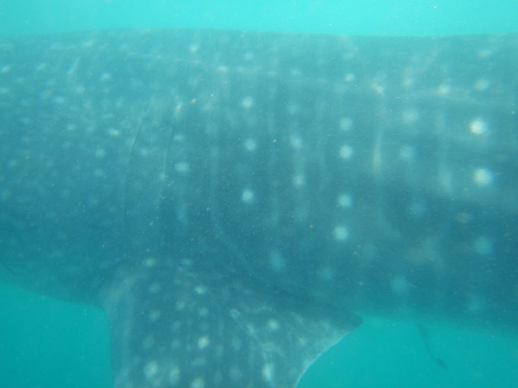 22ae1ea9-c1bf-4a4c-b617-813d8505bbba