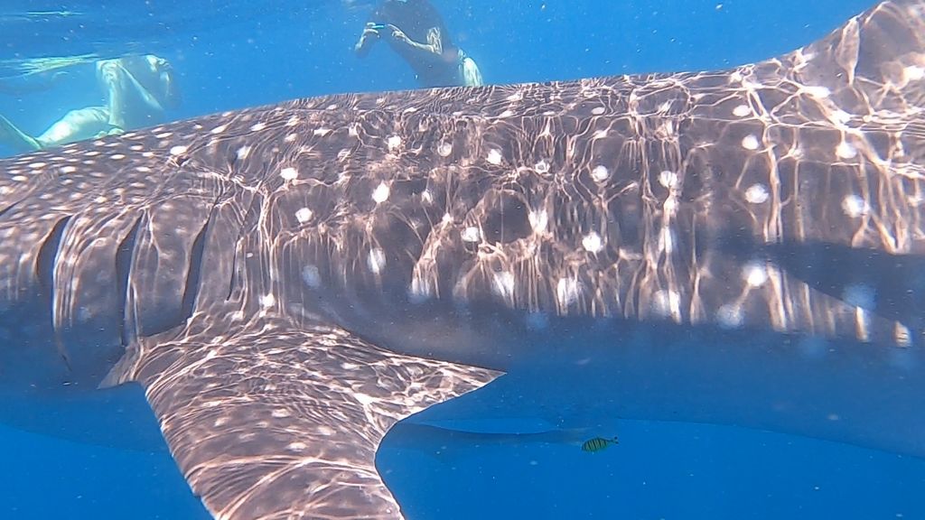 6b816517-34b2-4d88-8a74-4068efb95db7