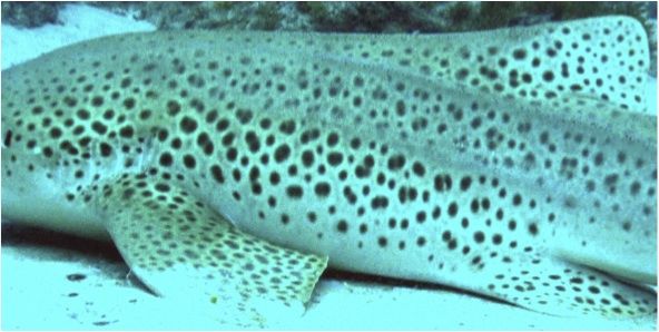 08da5230-60ce-4fda-a1b2-831a7be7f9a6