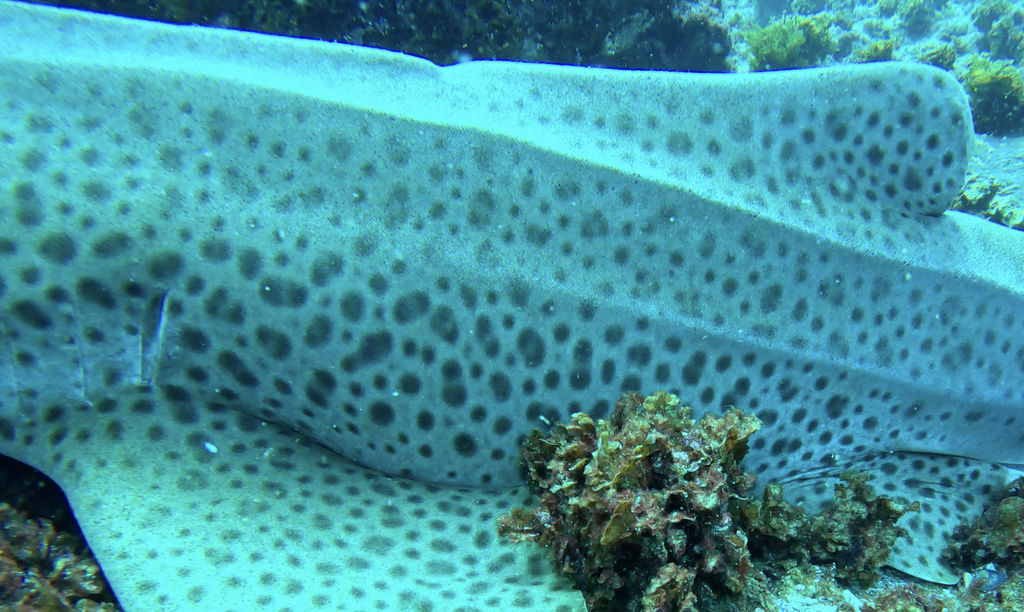 a1b97fe9-07c5-4189-8425-3d209f1a7847