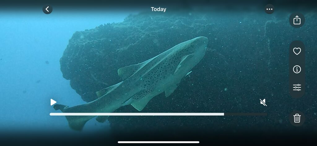 1e2540fe-8b89-407c-8d34-b9b0ceb38e6e