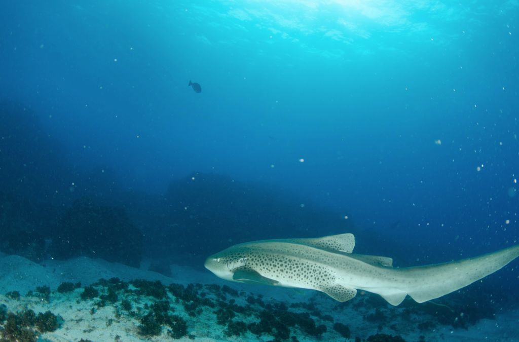 0fb20742-d56d-4855-bff9-fdc26ab4a53c