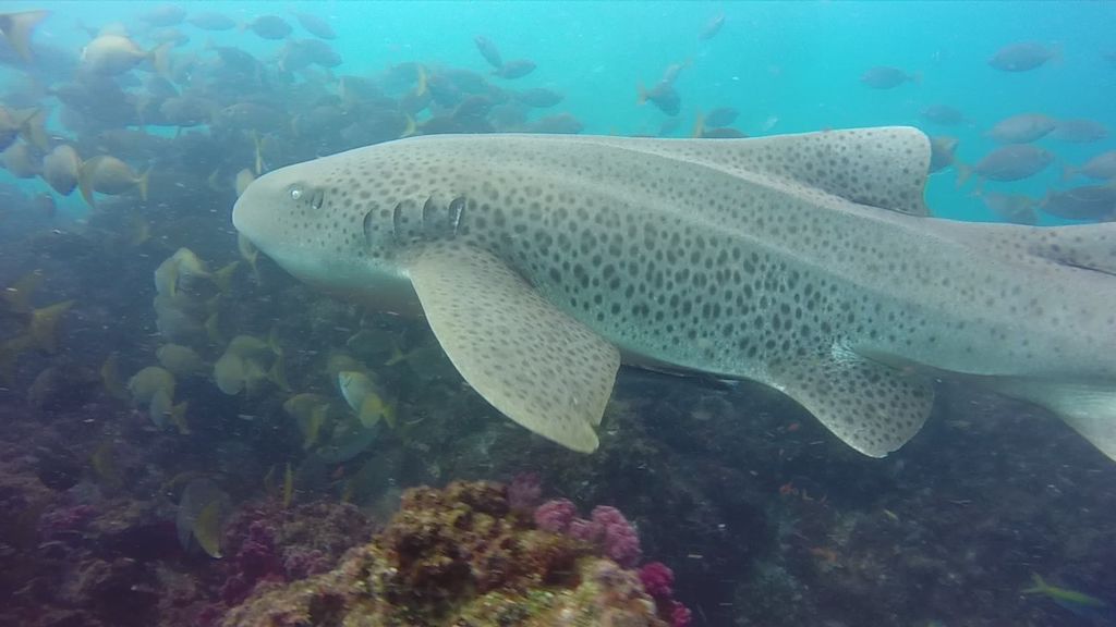 1a5d2942-048d-43f0-b418-12ecf89c44b1