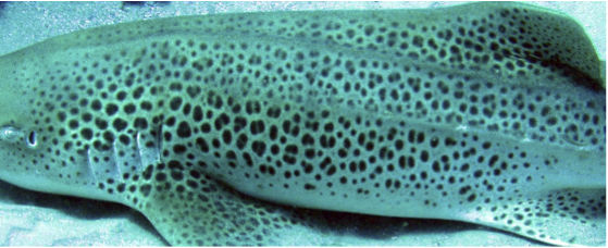 e71cb968-f03b-4340-82f0-cb15dccaf09b