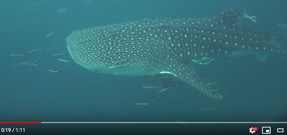 41883524-c29a-4a80-a701-83ca91654269