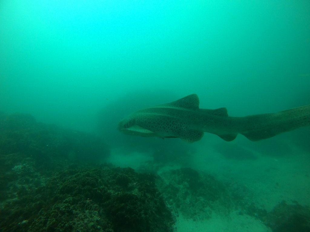 16ed776a-ad44-46fe-87cc-8f715536353b