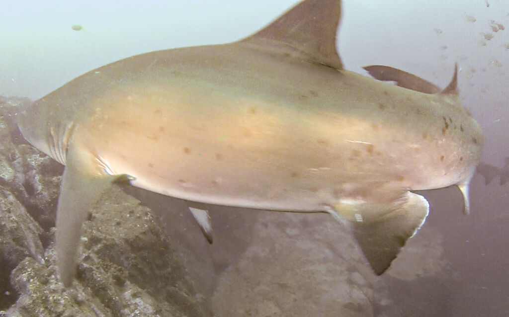 9d3ece1b-b79b-407a-86a8-62e277a10a24