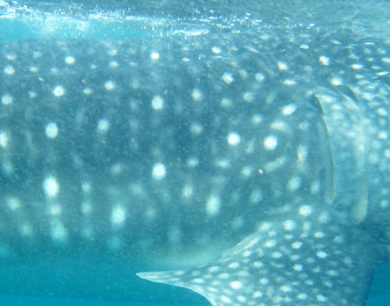 0dd983f5-a1b9-4222-929f-7b48c9355eb5