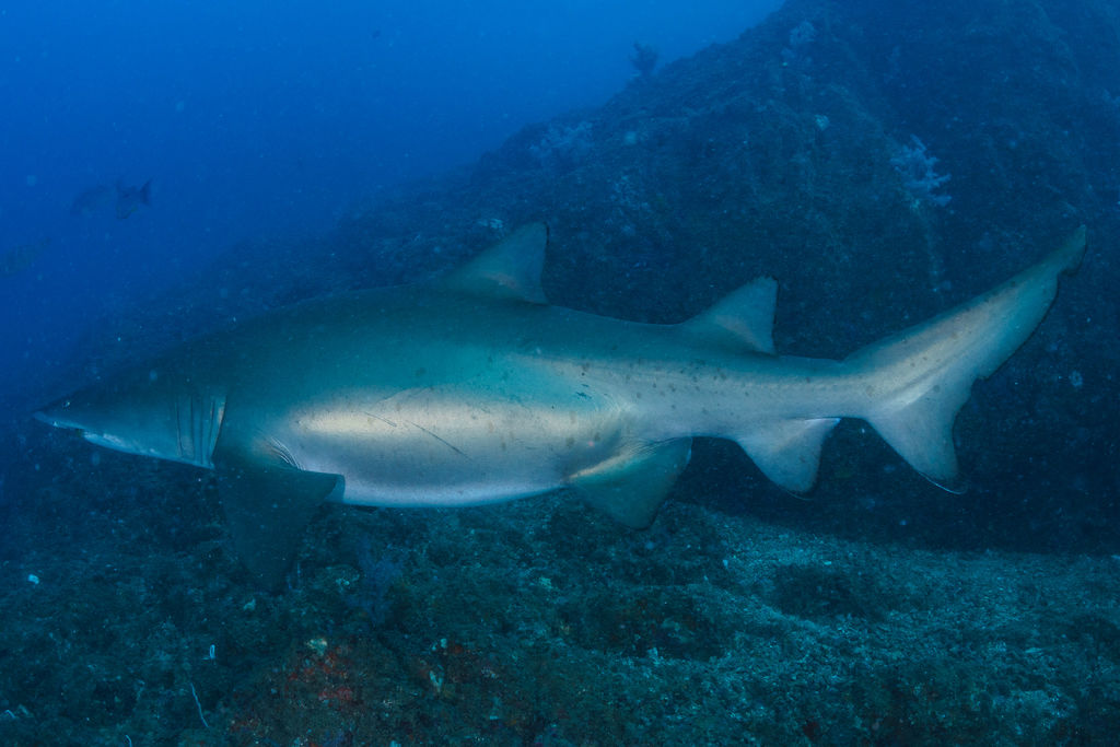 c6072938-0036-4717-aba1-2668eec3ea2d