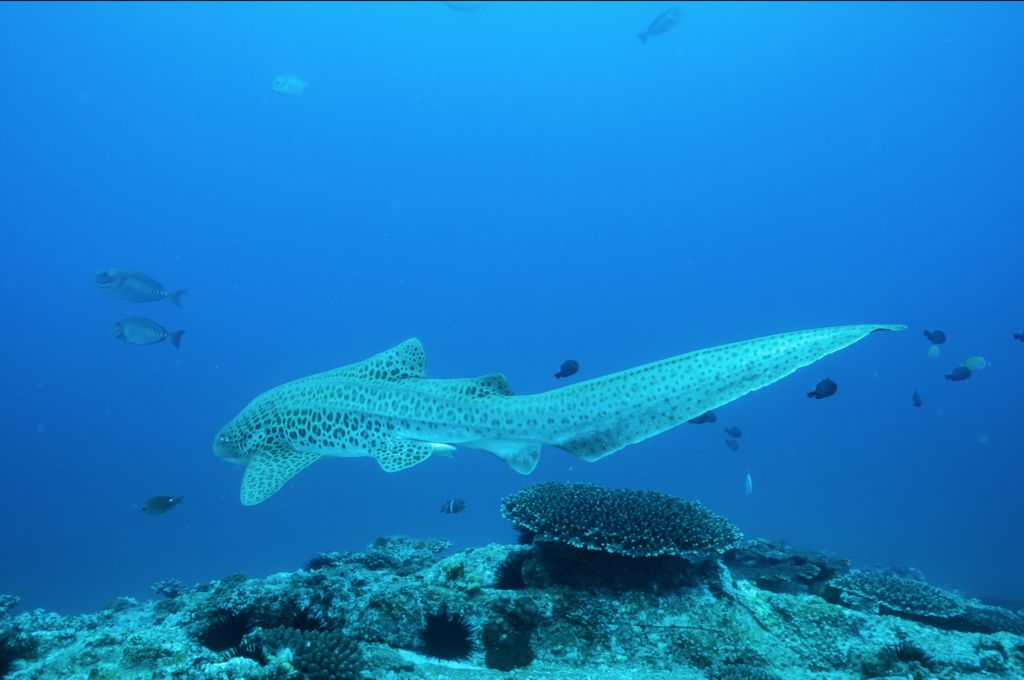 48694646-596c-4a58-ba7e-cc2cc679691b