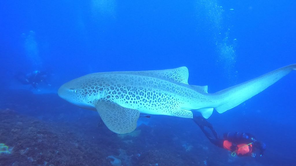 ab7dac95-3eb8-42ec-9c6e-f9e93c537ad4