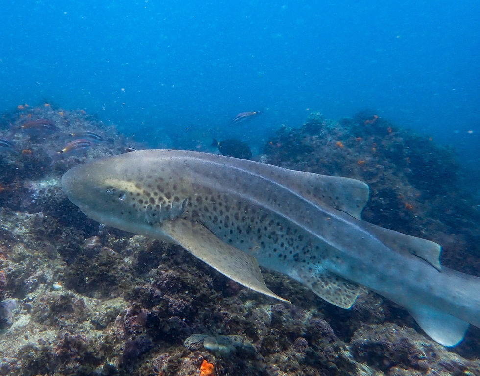 a50a3a04-e02e-4a51-ab1f-556ead886766