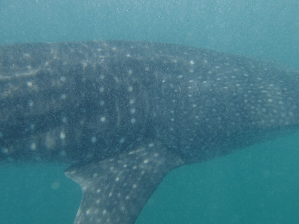 1c2bff9f-04f5-49f6-8b1f-ecfe5541c6cd