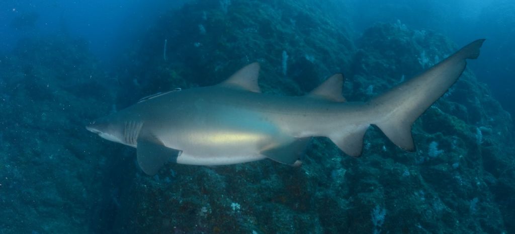 35ae158e-d4e3-44d6-8276-7c379410dcf3