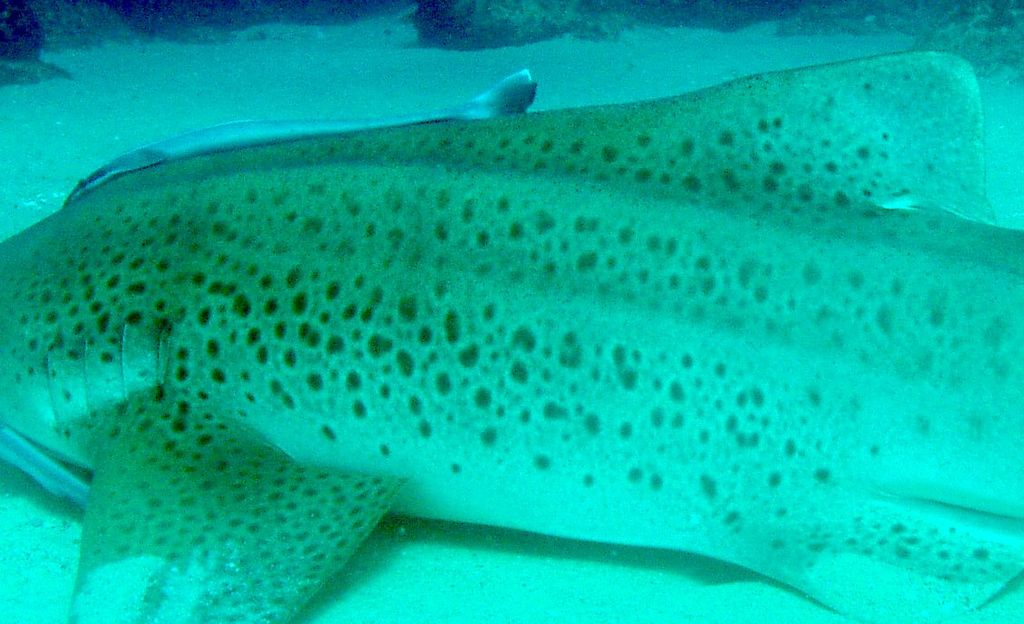 20d30ab5-d203-4e7d-bf1f-448791c40b80