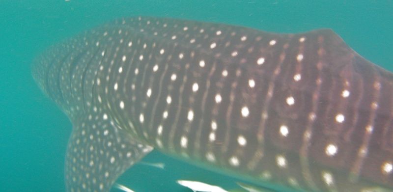 538ca53a-633d-4ecf-8bfe-6b95e863f2bb