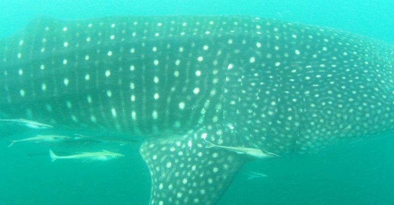 538ca53a-633d-4ecf-8bfe-6b95e863f2bb