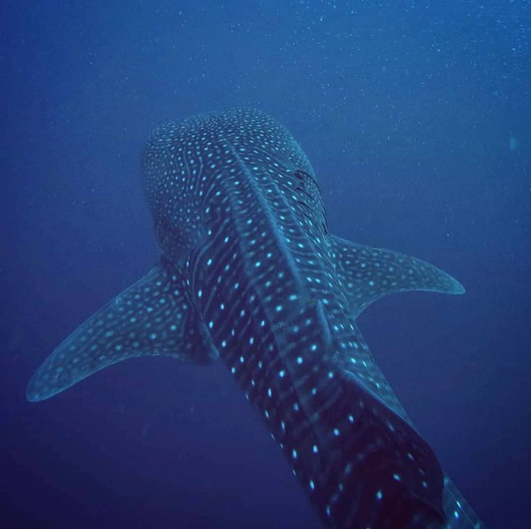 cfafd529-940f-4316-a35b-23511ae9d71a