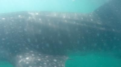 dd5c3e21-80a6-4845-8cb3-c21d9d3a7c44