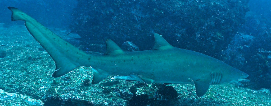 91bd8f86-edf9-4cb8-9edf-00062afce636