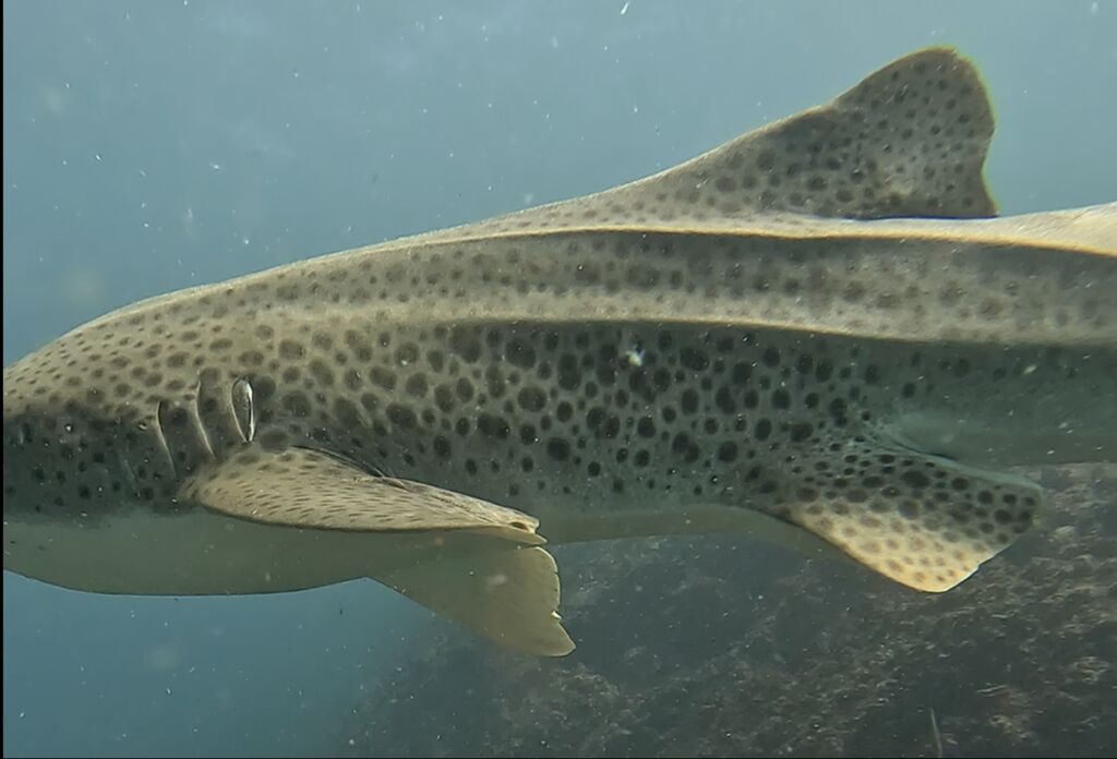 624da8cc-cffc-4a0d-b08a-4edbad309354