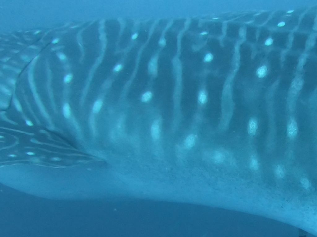 b3a9c31a-f2e5-4ddc-bd21-2b8963105541