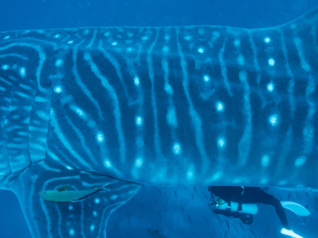 b3a9c31a-f2e5-4ddc-bd21-2b8963105541