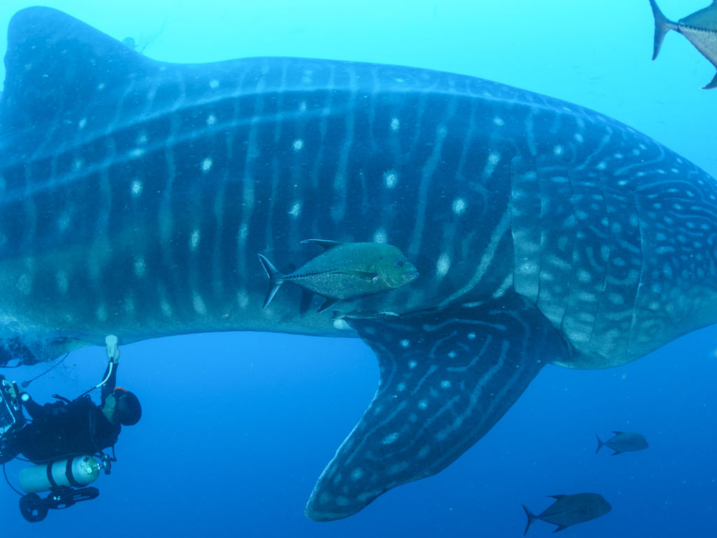 b3a9c31a-f2e5-4ddc-bd21-2b8963105541