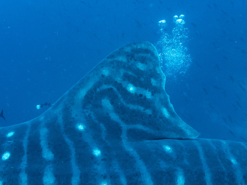 b3a9c31a-f2e5-4ddc-bd21-2b8963105541