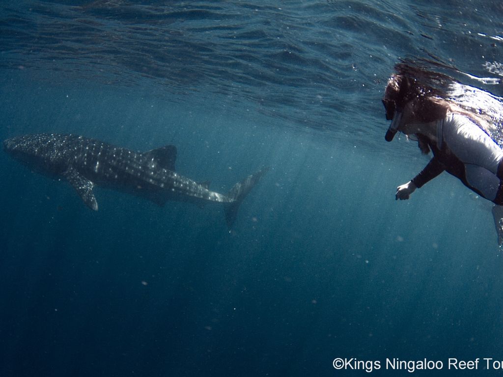 0f102b23-1a4a-4f86-87d8-8a3a4befde4f