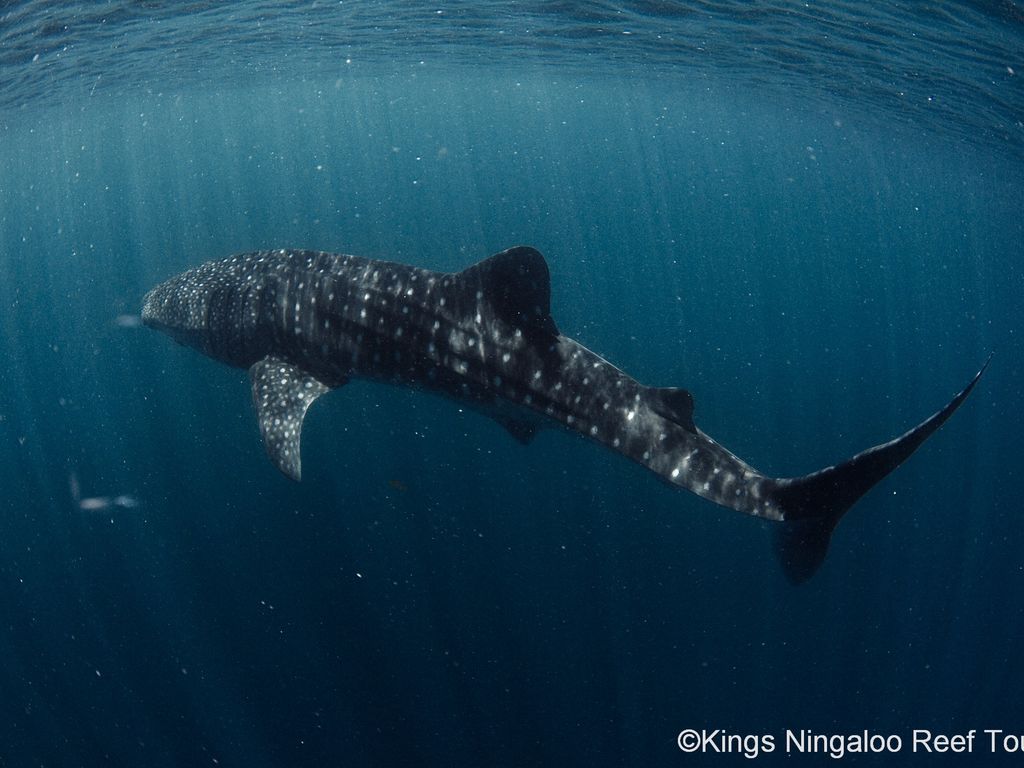 0f102b23-1a4a-4f86-87d8-8a3a4befde4f