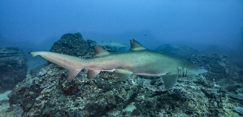 42393d45-6f92-474b-9189-d60ad8456e01