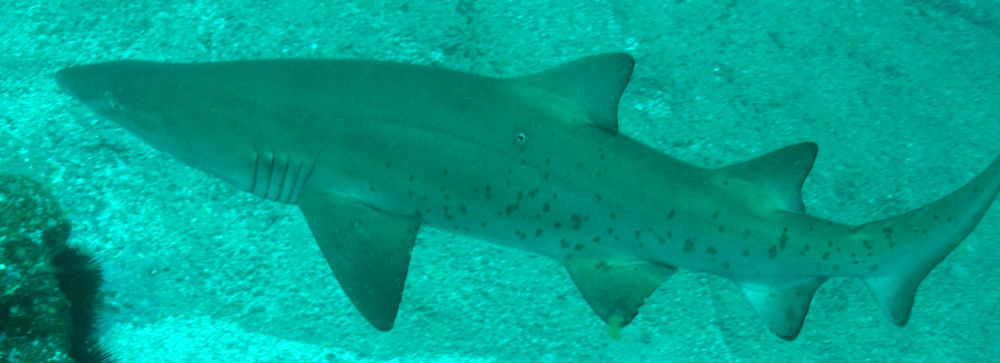 14b66bc2-e479-4390-98ba-12a995090037