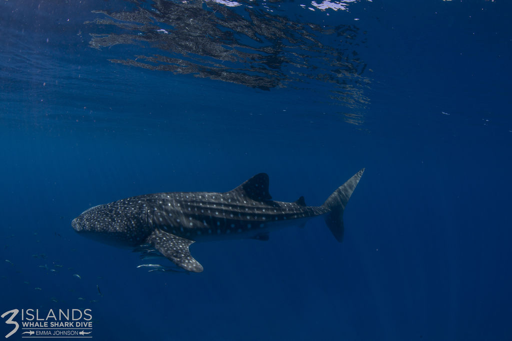 7b9dac9c-a6cb-472c-aad0-9b4e1dbbbdb3